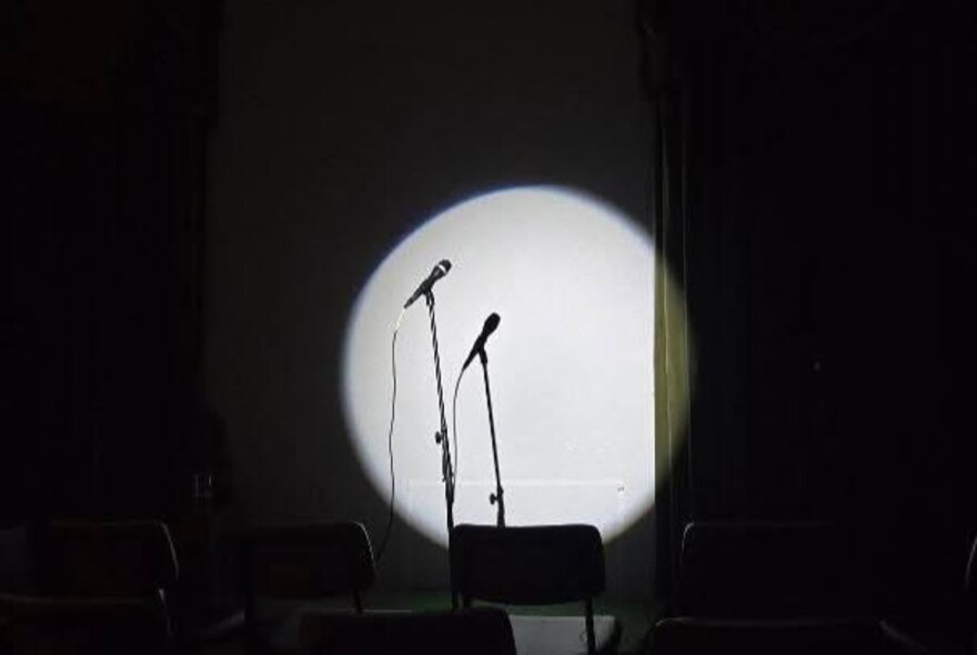 Microphone stand and shadow in a circle of light surrounded by blackness.