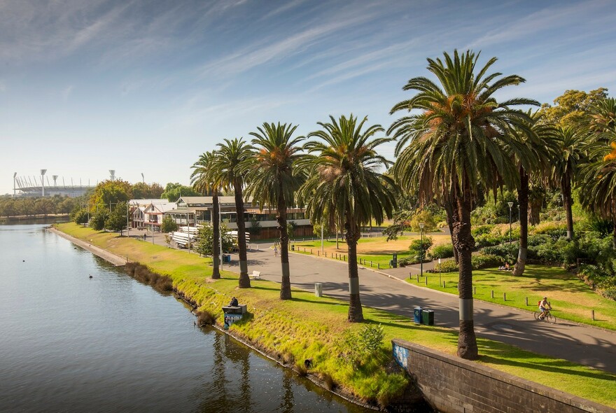 Palm trees lining River Yarra, beside Alexandra Gardens.