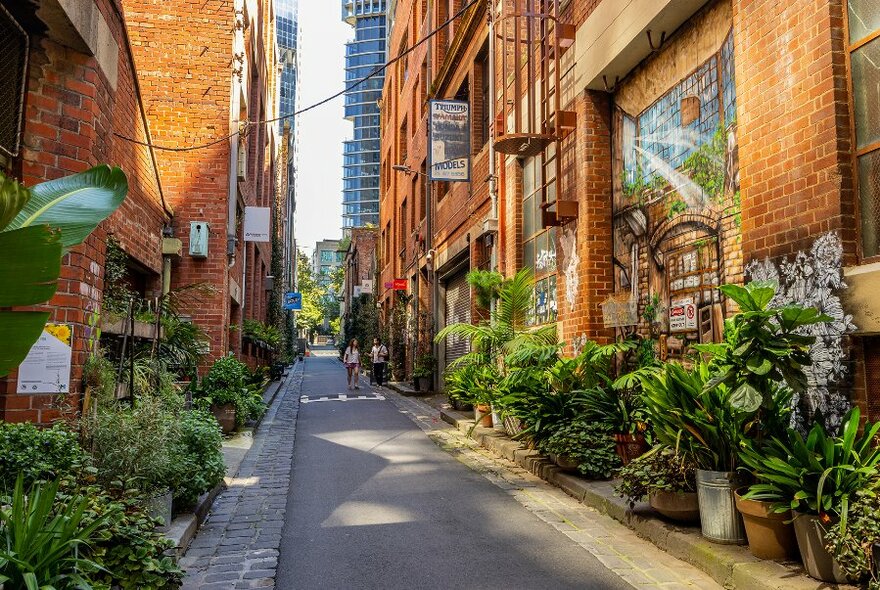A laneway with brick buildings, street art and lots of potted plants and greenery.