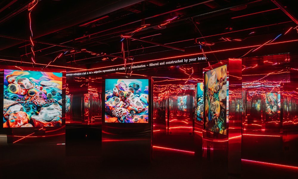 Screens showing artworks surrounded by red neon lights.