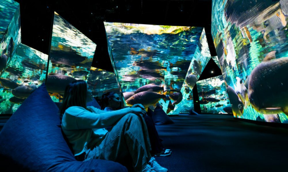 Two people sitting on bean bags looking at big screens with ocean fish swimming around.