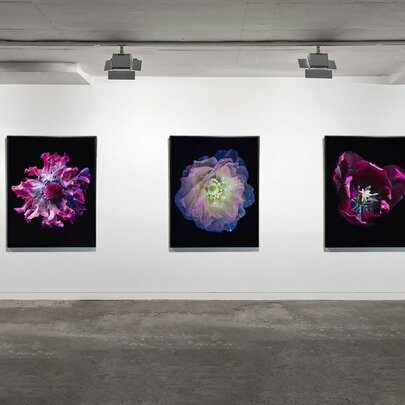 Kate Ballis and Tom Blachford: Influorescence