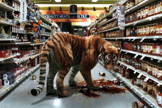 A large tiger in a supermarket aisle with smashed bottles and jars on the floor. 