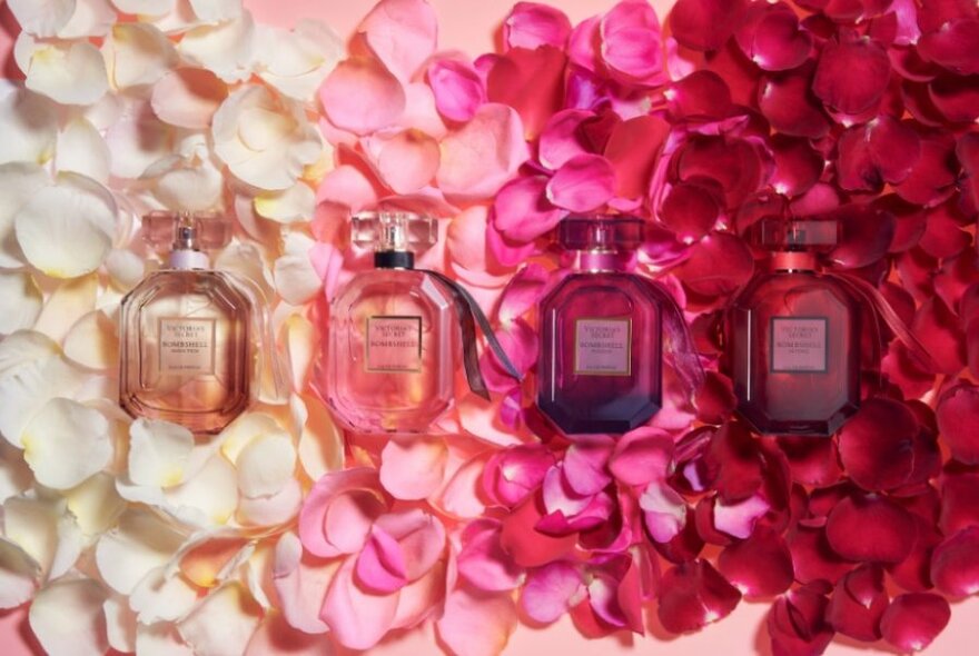 Small perfume bottles on rose petals of different shades of pink.