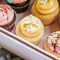 Little Cupcakes