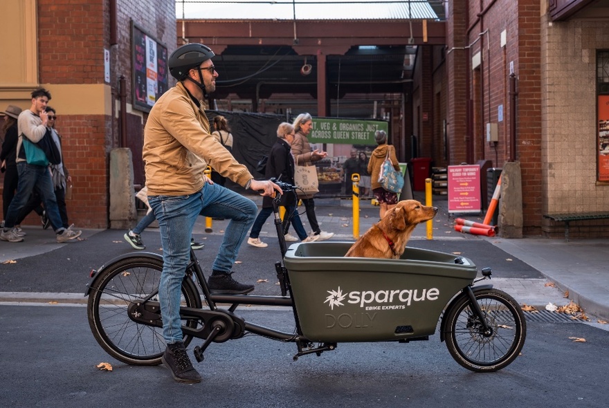 Profile of a man on an ebike with a dog sitting in the front of his bike cart.