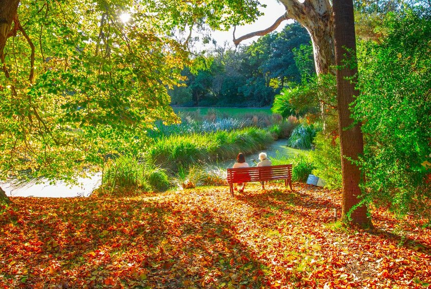 Two people sitting on a bench beside a lake in a garden filled with fallen autumn leaves.