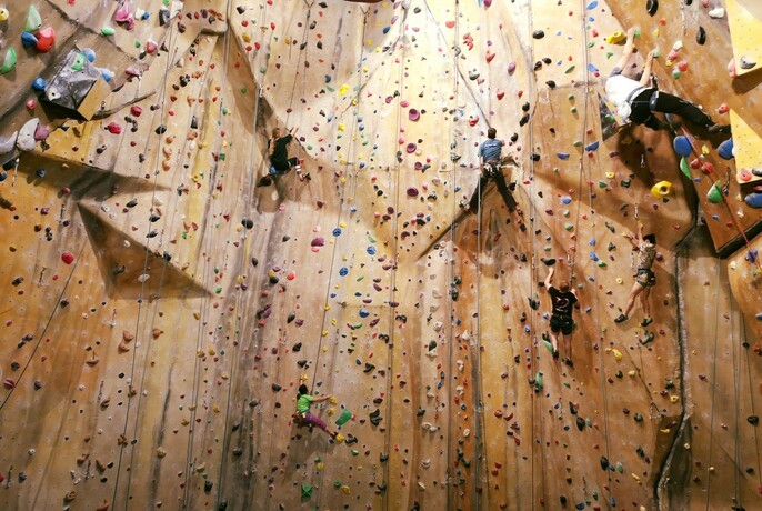 Rock climbing wall with five climbers scaling it, with ropes and foot and hand holds visible.