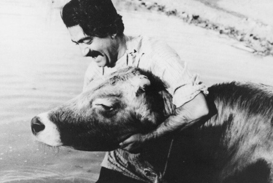 A black and white image of a man holding a cow's head quite tightly.