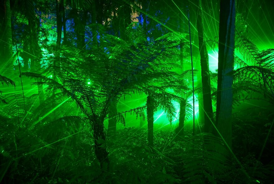 Green lights being cast through a ferny environment at night. 