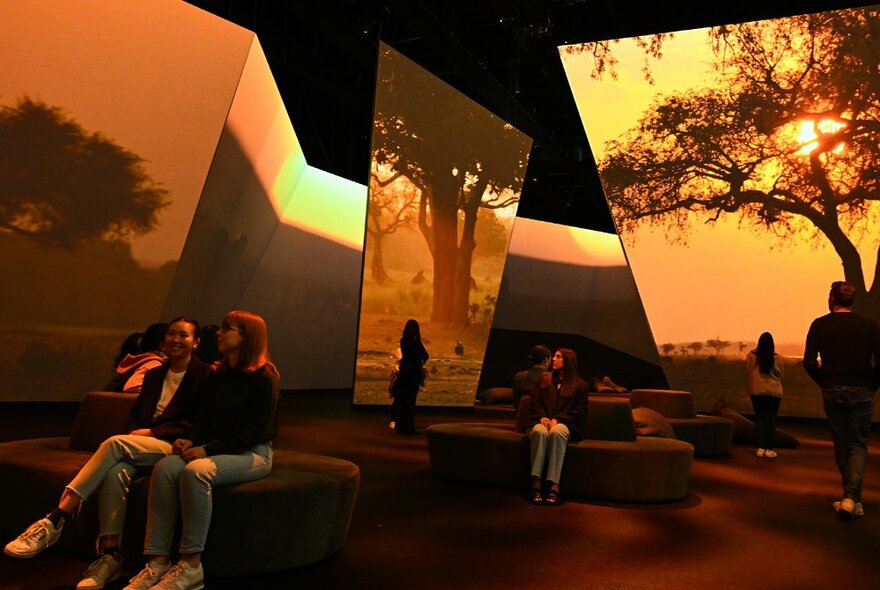 Large digital panels displaying outback landscape scenes in a darkened exhibition space with people seated on benches viewing the panels.