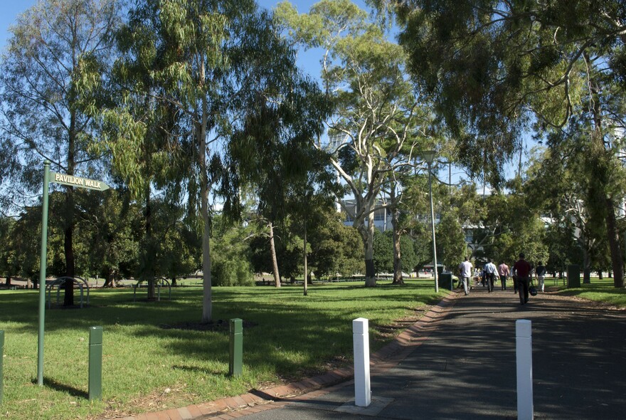 Trees, grass and pathway at Yarra Park.