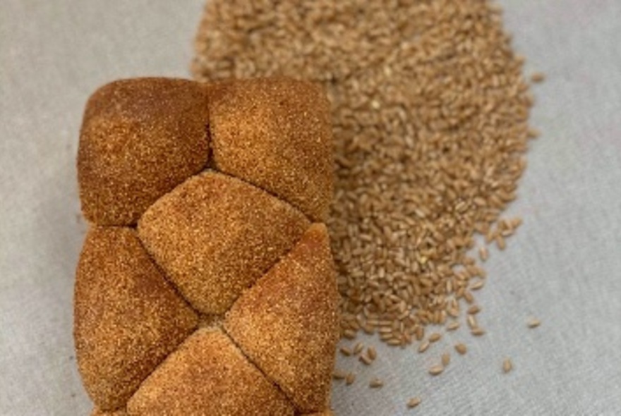 Pull-apart bread rolls in a loaf shape with wheat grains in background.