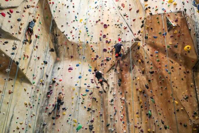 Rock climbing wall with four climbers scaling it, with ropes and foot and hand holds visible.