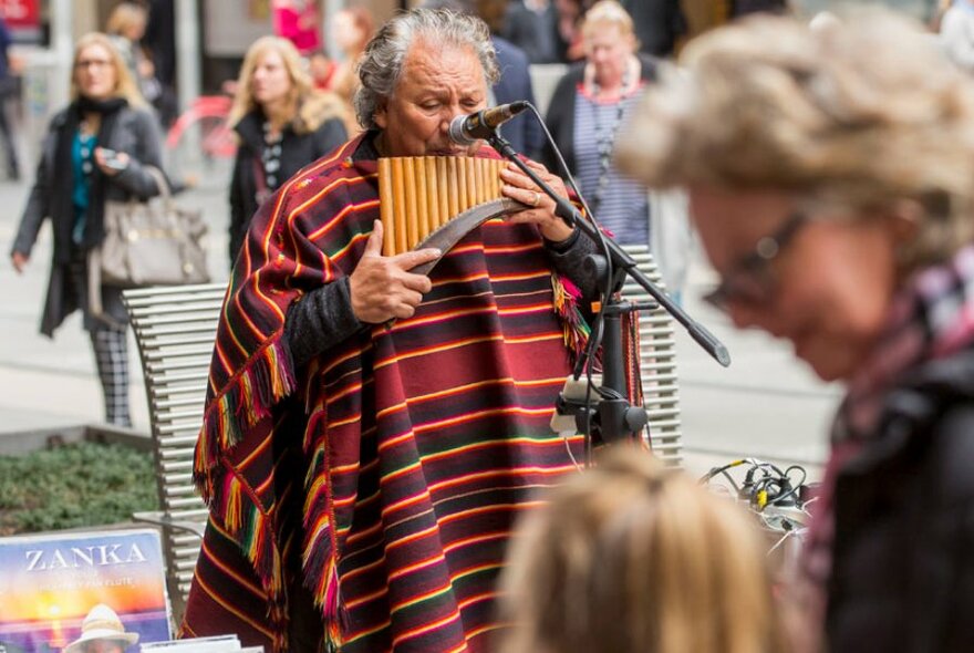A busker playing pan pipes and wearing a striped poncho. 