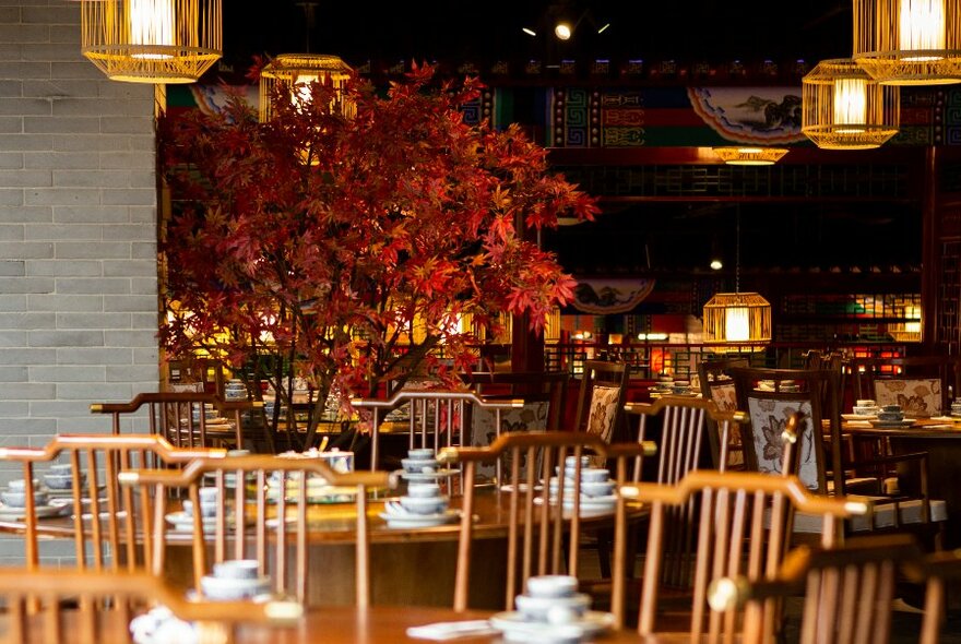 Chinese restaurant with tree with autumnal-coloured leaves.