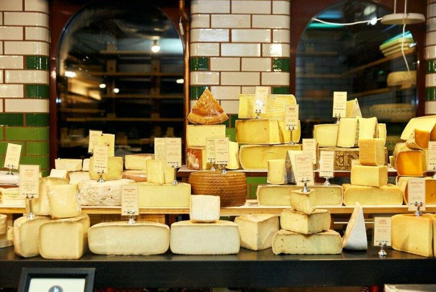 A range of cheeses on a table