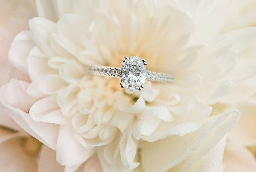Diamond ring in a flower.