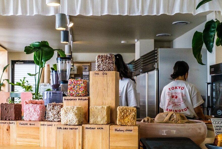 A lamington shop with a group of lamingtons on the counter