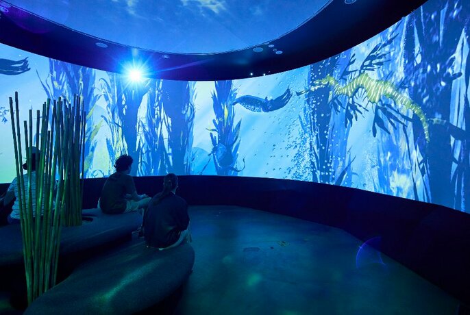 People seated on a bench seat in a room with curved walls, experiencing a digital screening of an underwater scene with seahorses and other marine animals.