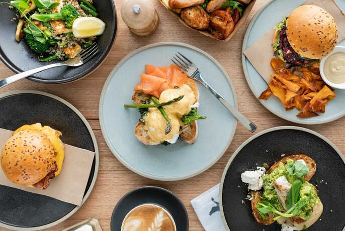 An array of dishes including eggs Benedict with salmon, burgers and avocado on toast.