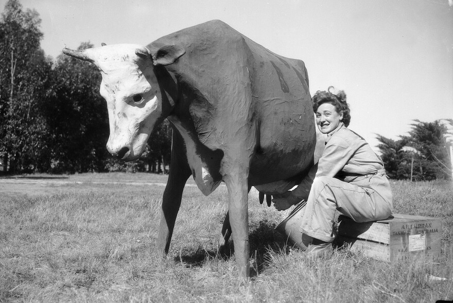 Historic image of a woman sitting on a crate, milking a cow and smiling at the camera.