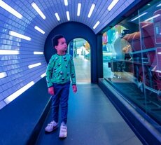 The best things to do in Melbourne with kids under 5