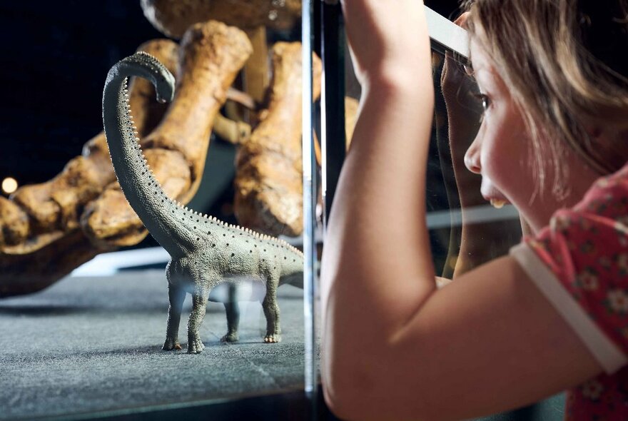 A young child with nose pressed against the glass of a display at the Melbourne Museum delights in finding a tiny dinosaur toy.