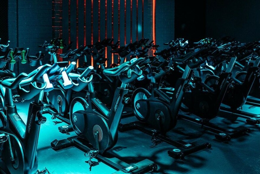 A room lined up with exercise spin bicycles.
