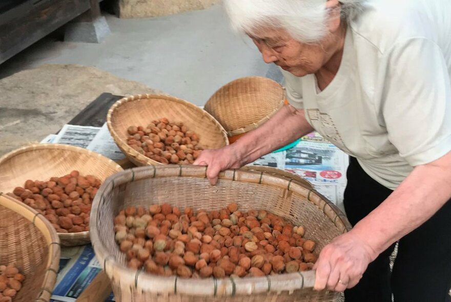 Elderly Japanese person holding a large basket of dried plums next to wicker trays of plums.