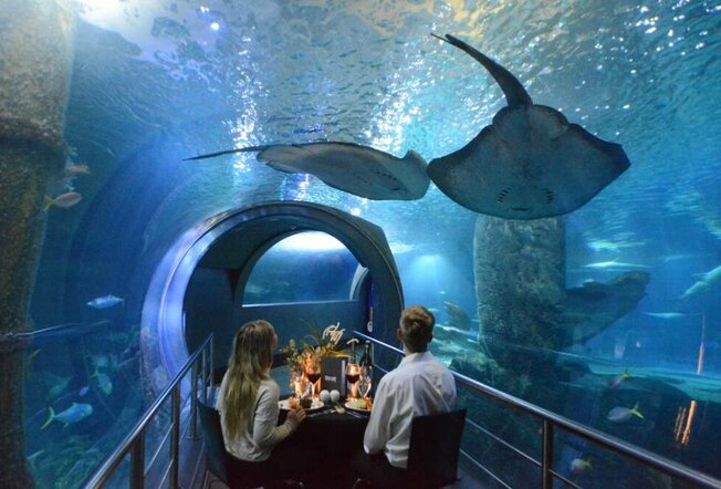 A man and a woman sitting in an aquarium and eating dinner