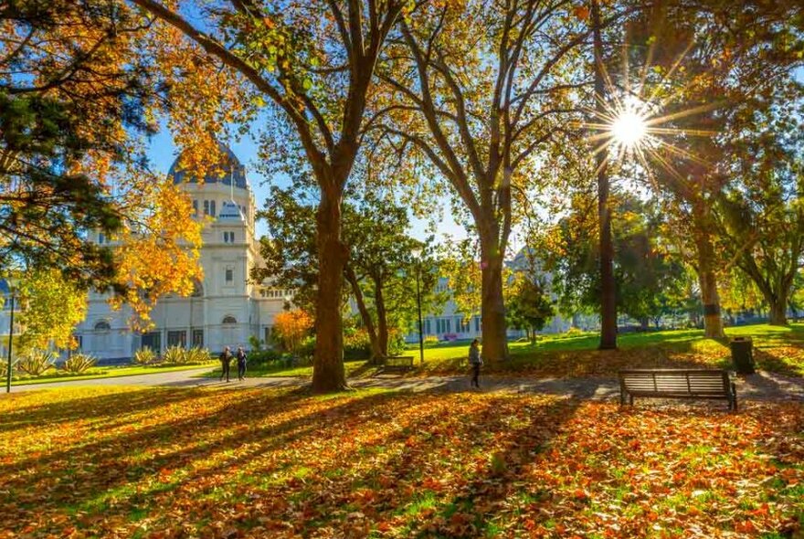 A park with autumn leaves all over the ground and a grand building hidden behind trees.