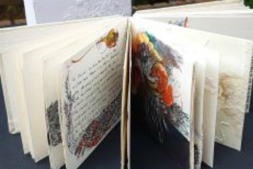 A book that has been displayed standing up so that the ornately illustrated pages are open and visible.