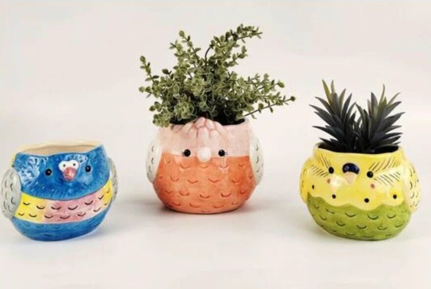 Three quirky planter pots in the shape of bird heads.