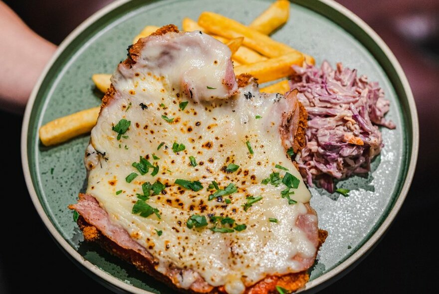 A hand holding a plate filled with parma, chips and slaw.