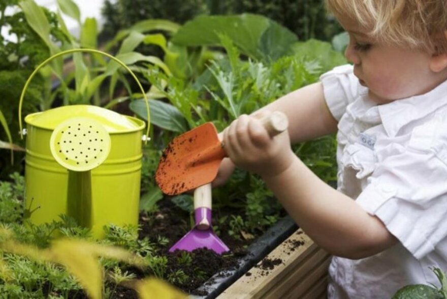 Toddler standing and digging with a small trowel near a raised vegetable bed.