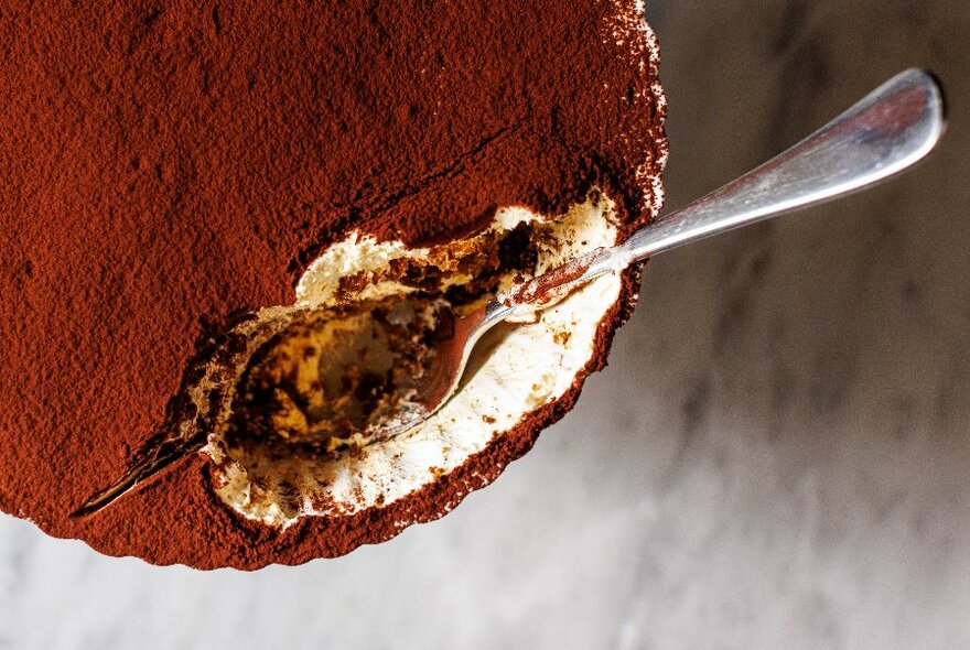 A spoon resting on the chocolate-dusted top of a large tiramisu dessert.