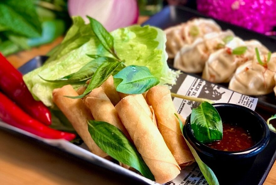 Plates of spring rolls and dumplings, garnished with herbs, lettuce and chilli.
