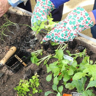 Cultivating Community Gardening Workshops