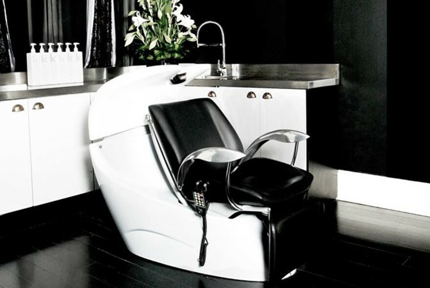Elaborate salon chair at a wash basin.
