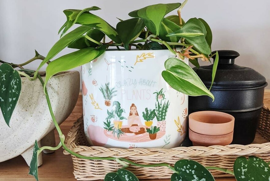 Ceramic plant pot holder with green plant motif.