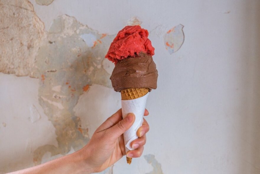 A hand holding an ice cream cone with a pink scoop and a chocolate scoop.