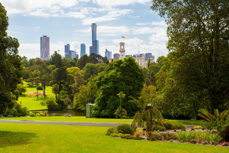 A view of Melbourne's skyline from the Royal Botanic Gardens. 