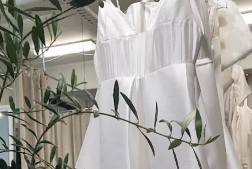 A bridal dress hanging in a studio behind some olive branches. 