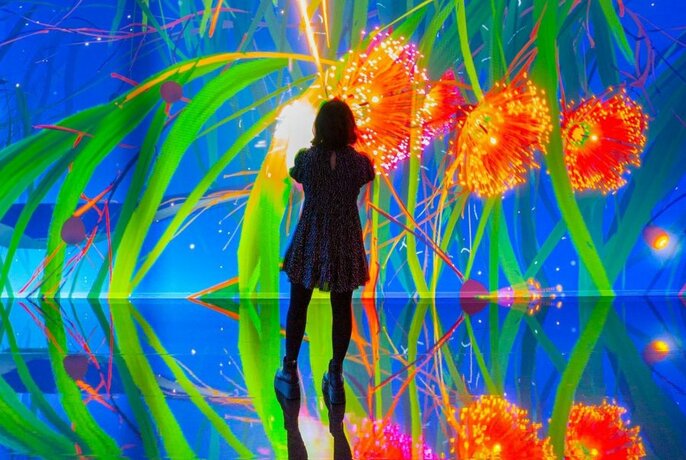 Person standing in front of an illuminated wall showing enlarged, brightly coloured flowers.