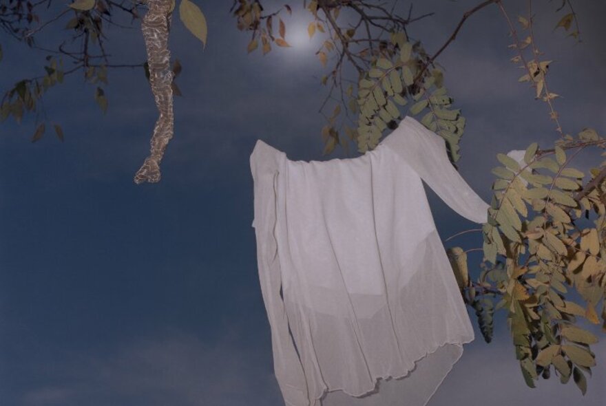 A woman's white blouse hanging on a tree branch against a darkening sky.