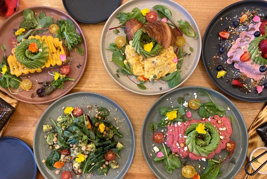 Overhead view of a six plates on a wooden table top, all the brunch style dishes including avocado.