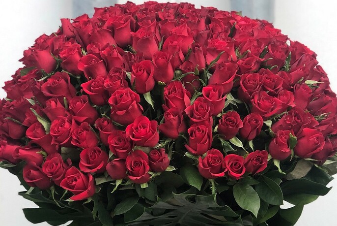 A large bunch of red roses.