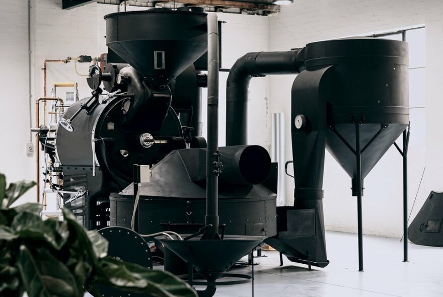 A large, black coffee roasting machine in a white room with a plant in the foreground. 