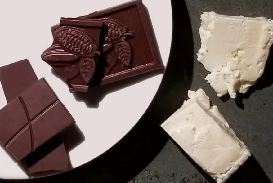 Pieces of dark chocolate on a white plate, alongside two segments of creamy coloured cheese.